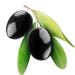 食材大全果品类 黑橄榄