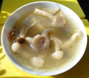 鲜茶树菇鸡汤做法