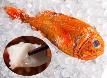 克劳森深海鱼--香炸银鳕鱼排做法