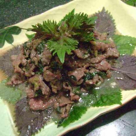紫苏炒牛肉做法