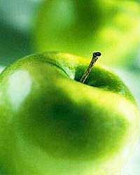 苹果餐减肥食谱做法