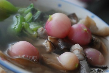 平菇小萝卜汤做法