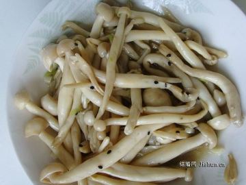 蒜蓉煎海鲜菇做法