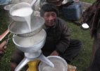 西藏昌都小吃 藏族奶品