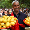 喀什喀什小吃 英吉沙色买提杏