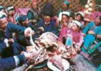 内蒙古阿拉善盟小吃 风味肉食手扒肉