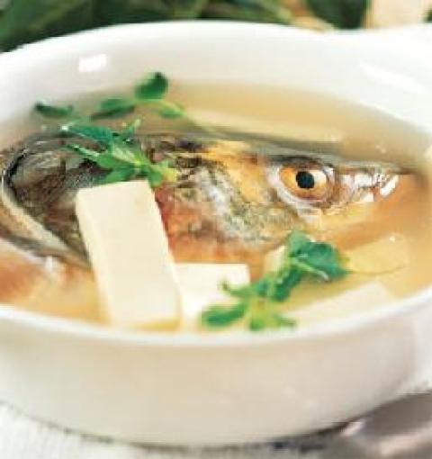 鱼头炖豆腐做法