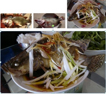 葱油桂鱼做法