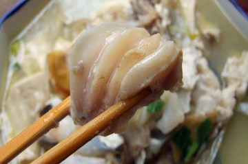 鲢鱼头豆腐汤做法