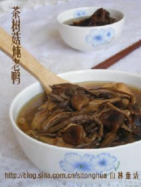 茶树菇炖老鸭做法