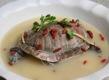 乌龟汤的做法图片