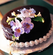 欧式干那斯巧克力蛋糕做法