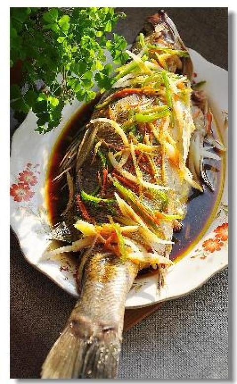 团年菜之清蒸鲈鱼做法