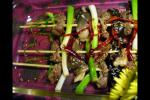 小吃 煎蘑菇牛肉串