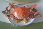 海鲜 清煮花蟹