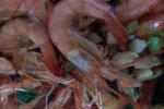 海鲜 葱蒜焖虾