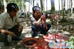 西藏日喀则小吃 藏餐羊血肠