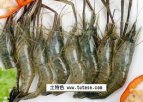 无锡北塘小吃 活炝青虾