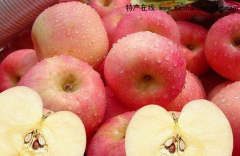 北京门头沟小吃 太子墓村苹果