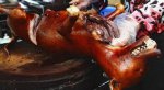 广西河池小吃 生炆狗肉