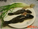 上海青浦小吃 塘里鱼炖蛋